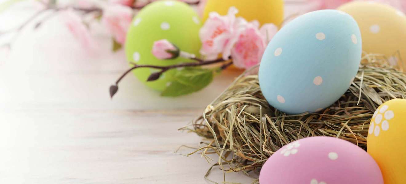 Die Steuerberaterakademie wünscht Frohe Ostern!